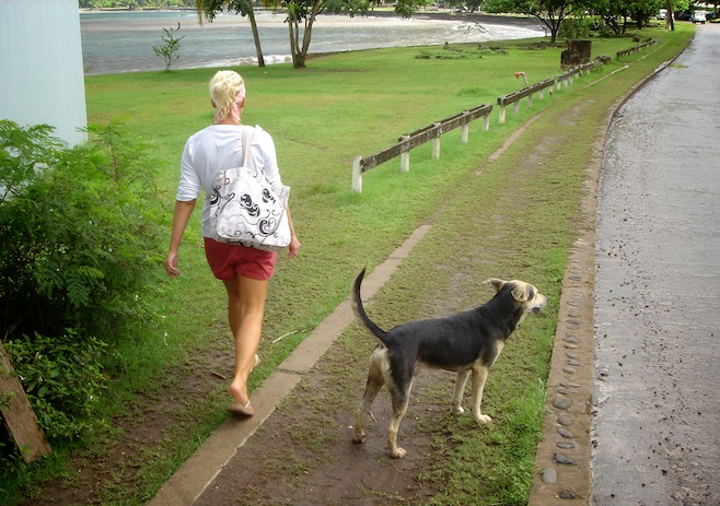 SoPac Marquesas Nuku Hiva Dog.JPG (206881 bytes)